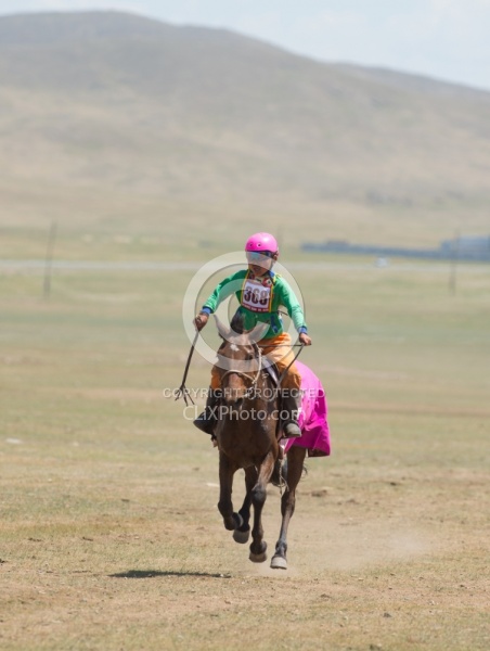 The local Nadaam race