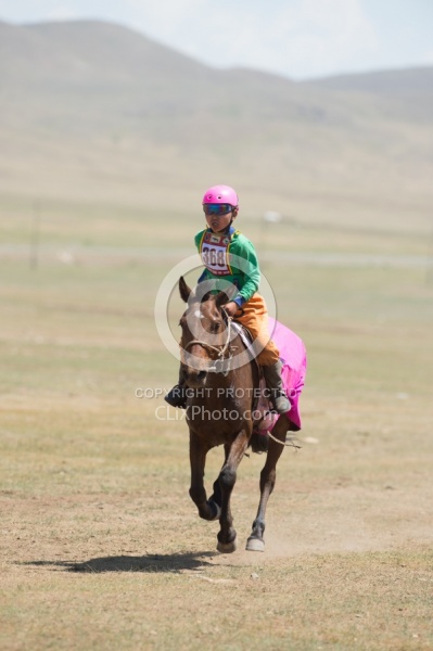 The local Nadaam race