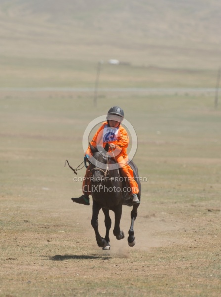 The local Nadaam race