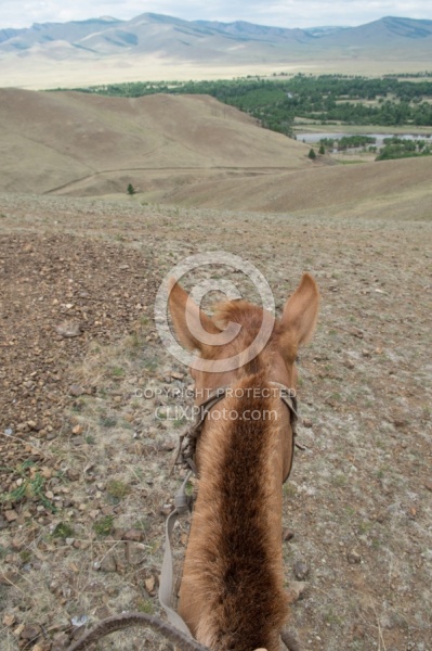 View from the Saddle