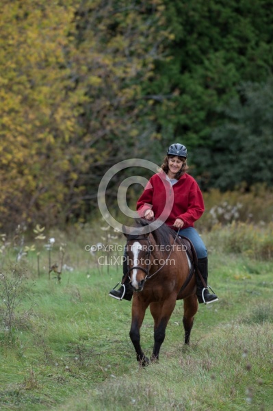 Senior Horse Being Ridden