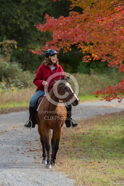 Senior Horse Being Ridden