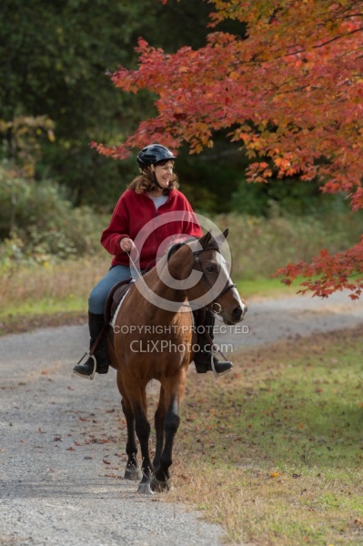 Senior Horse Being Ridden