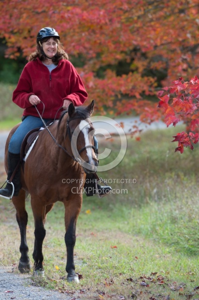 Senior Horse Being Ridden