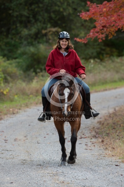Senior Horse Being Ridden