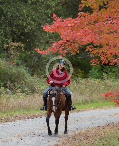 Senior Horse Being Ridden