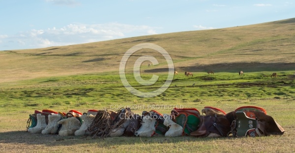 The Saddles packed up for the night