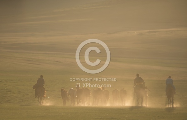 Herdsmen Herding The Horses