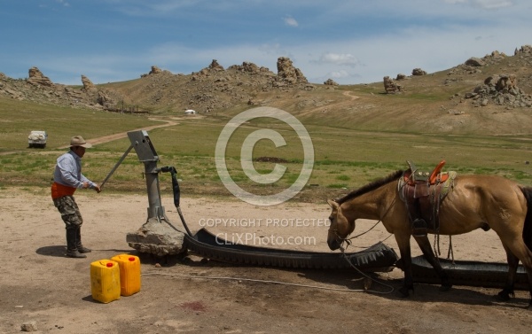 Watering the Horses on the Trail
