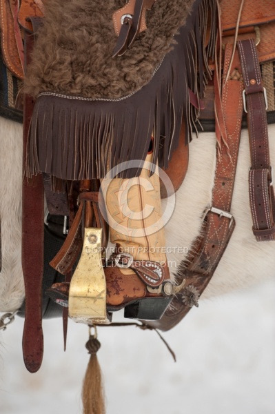 Winter Riding Western Vertical