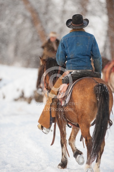 Winter Riding Western Vertical