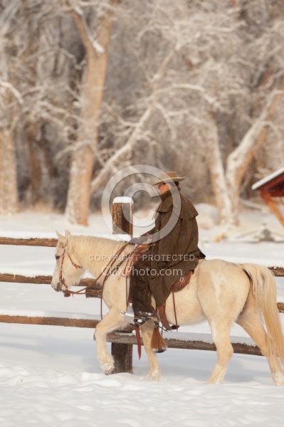 Winter Riding Western Vertical