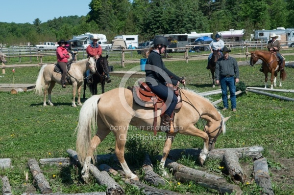 Extrme Cowboy Clinic with Lantz Mclaren at Horse Country