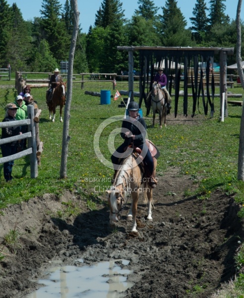 Extrme Cowboy Clinic with Lantz Mclaren at Horse Country