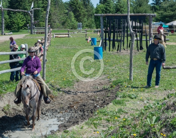 Extrme Cowboy Clinic with Lantz Mclaren at Horse Country
