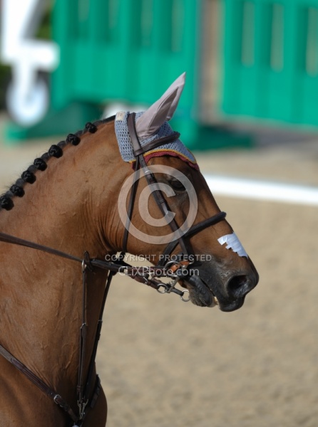 Pablo Barrios and G & C Lagran WEG 2010