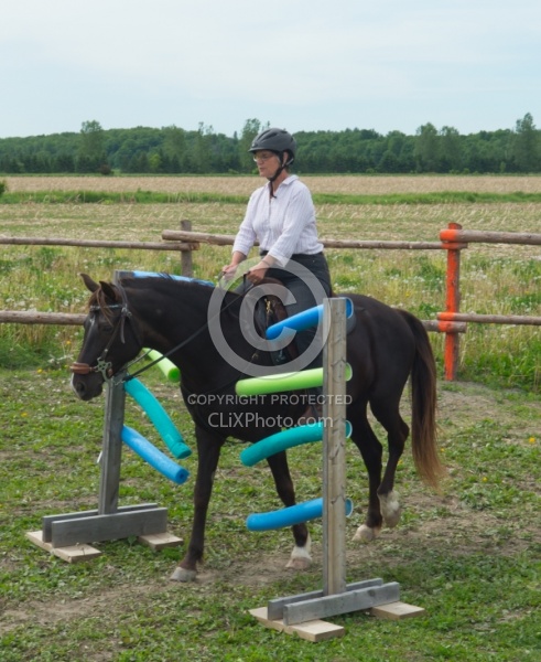 The Extreme Cowboy Race at Horse Country s Lantz McLaren Clinic