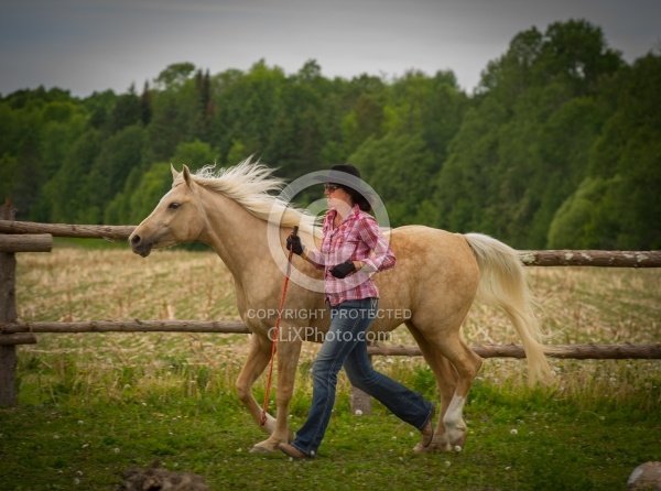 The Extreme Cowboy Race at Horse Country s Lantz McLaren Clinic