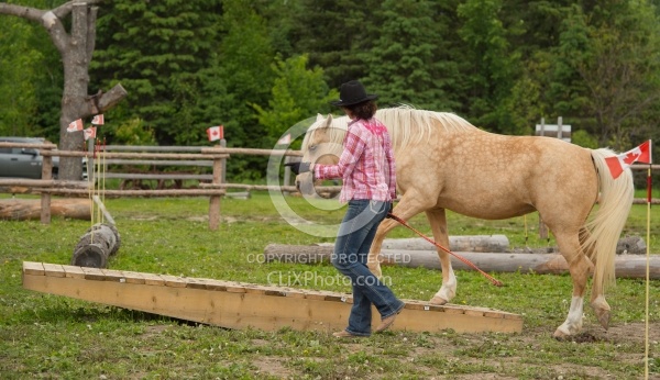 The Extreme Cowboy Race at Horse Country s Lantz McLaren Clinic