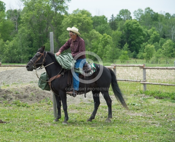 The Extreme Cowboy Race at Horse Country s Lantz McLaren Clinic