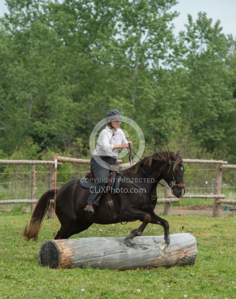 The Extreme Cowboy Race at Horse Country s Lantz McLaren Clinic