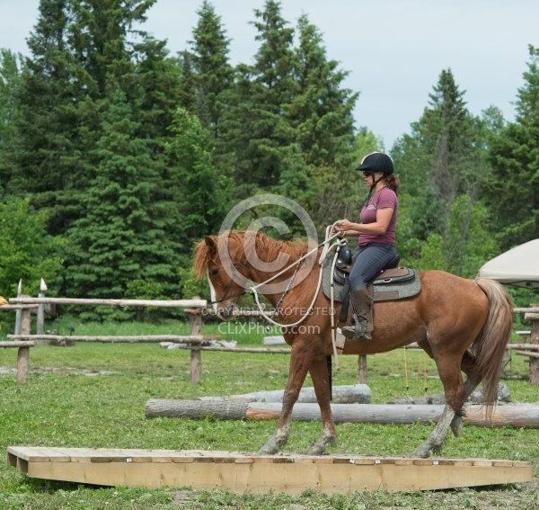 The Extreme Cowboy Race at Horse Country s Lantz McLaren Clinic