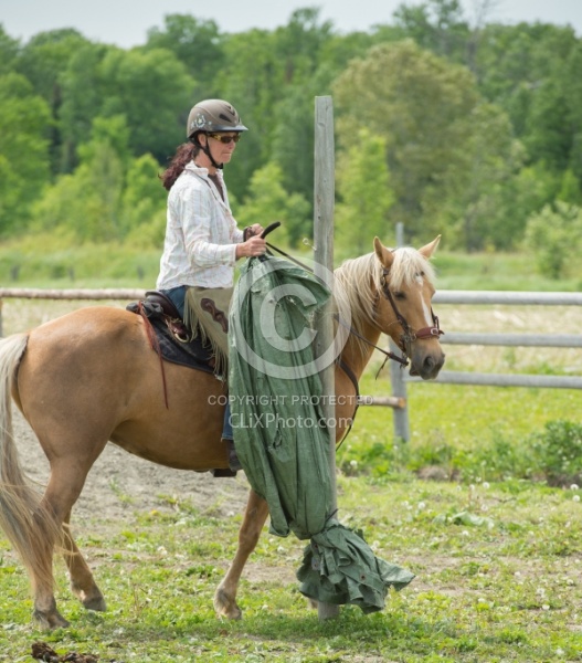 The Extreme Cowboy Race at Horse Country s Lantz McLaren Clinic