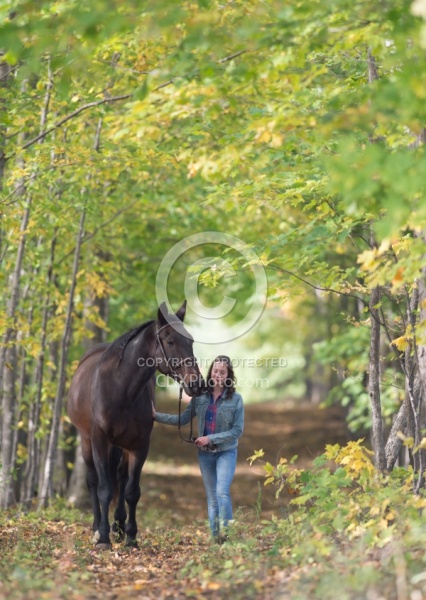 Standardbred with Tween