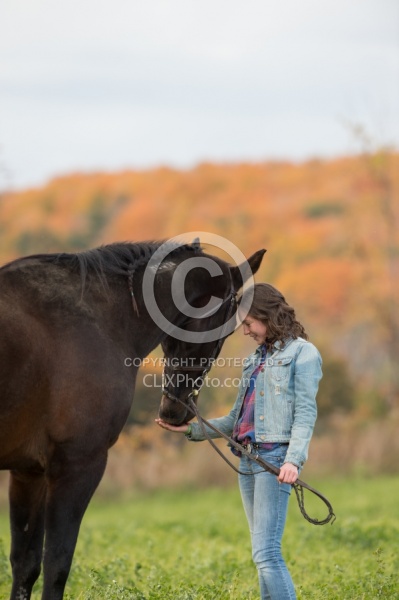 Standardbred with Tween
