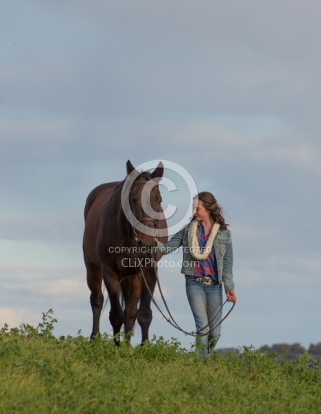 Standardbred with Tween
