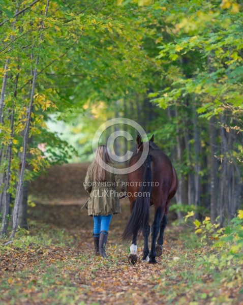 Standardbred with Tween