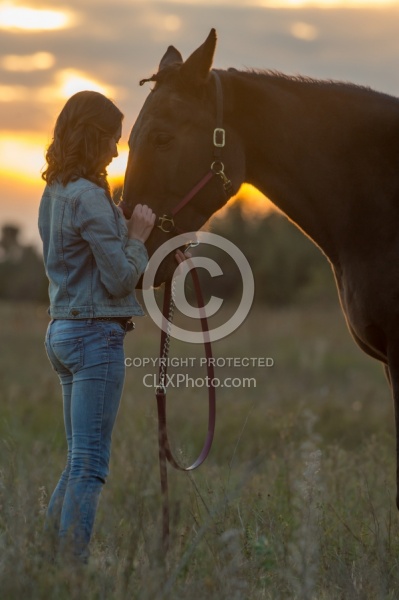 Standardbred with Tween