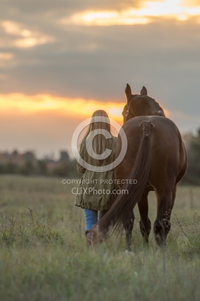Standardbred with Tween