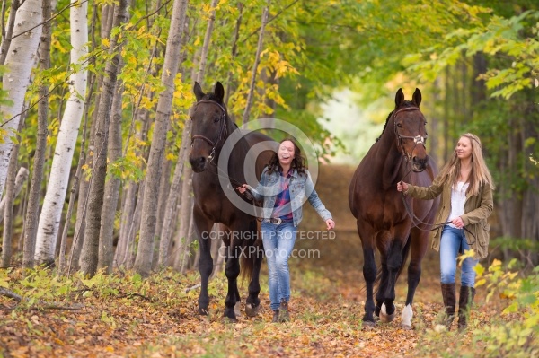 Standardbred with Tween