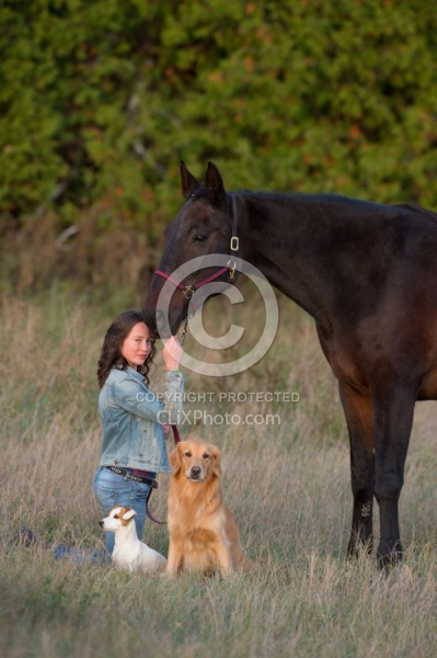 Standardbred with Tween