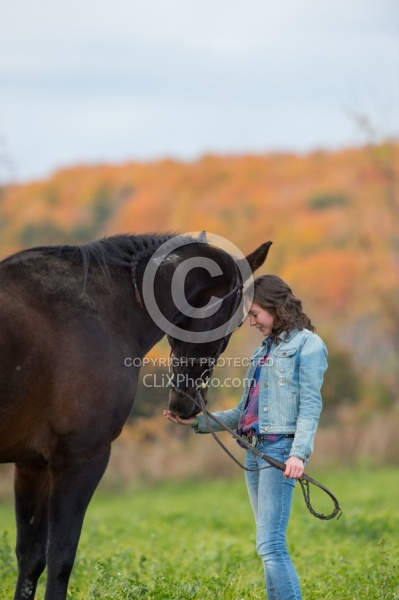 Horse and Human Bond Standardbred