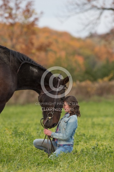 Horse and Human Bond Standardbred
