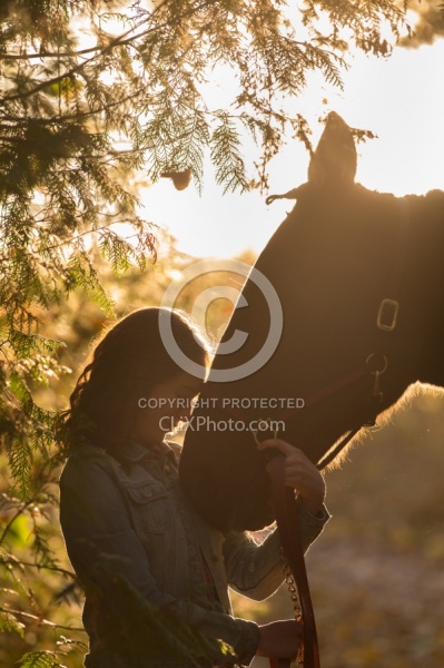 Horse and Human Bond Standardbred