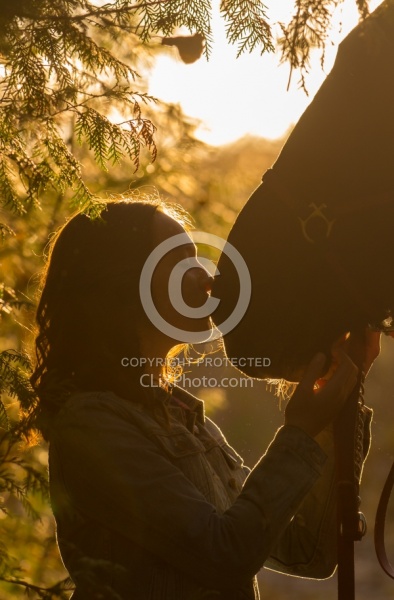 Horse and Human Bond Standardbred
