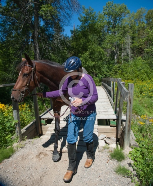 Horse Country Campground
