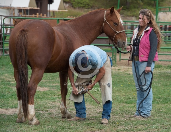 Farrier at Work