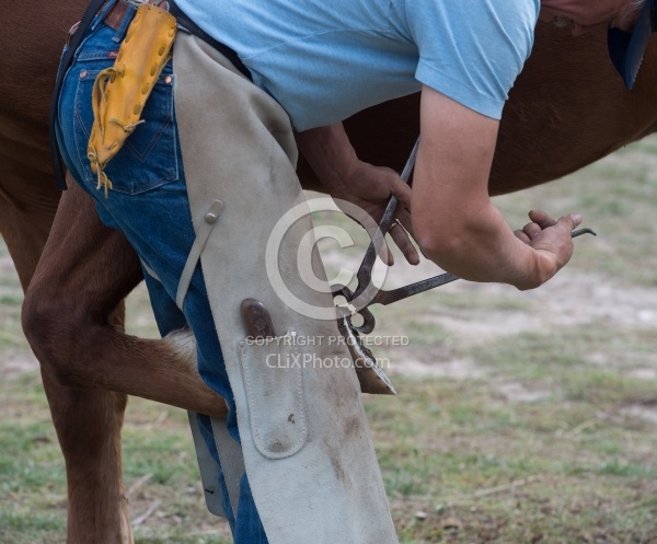 Farrier at Work