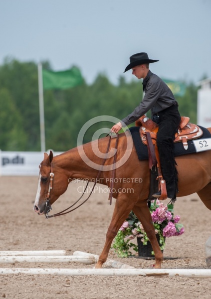 Kid in Western Trail Class at QH Show