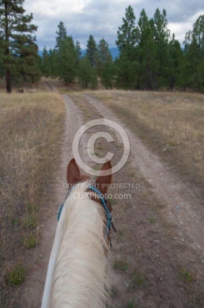 On the Trails with Bar W