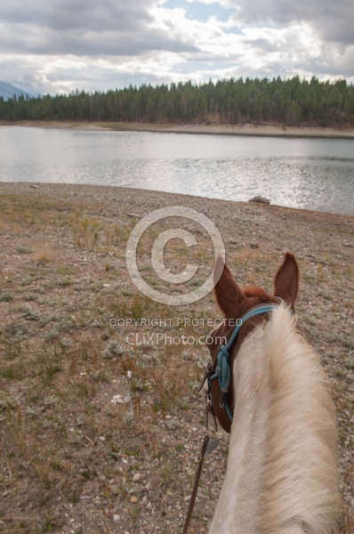 On the Trails with Bar W