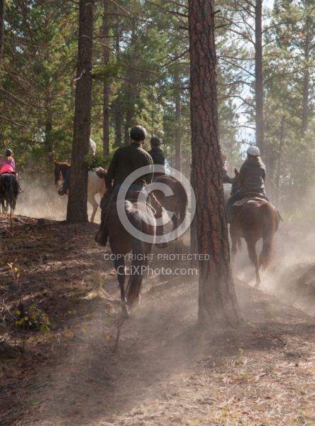 On the Trails with Bar W