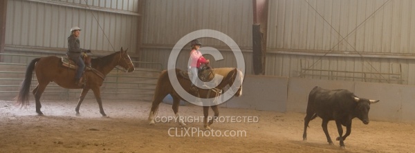 Team Penning at Bar W