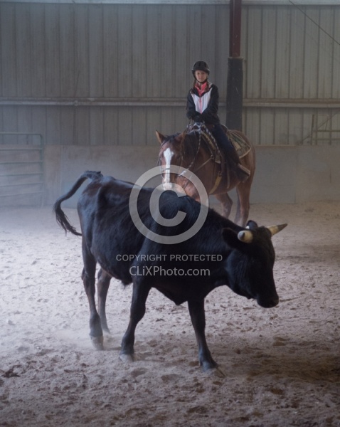 Team Penning at Bar W