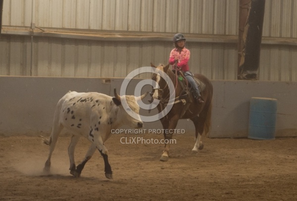 Team Penning at Bar W