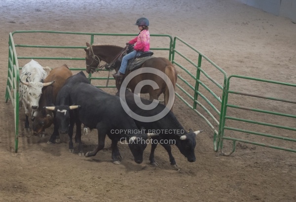 Team Penning at Bar W